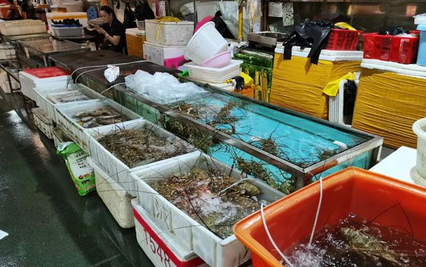 廣東省主要水產(chǎn)品批發(fā)市場一覽